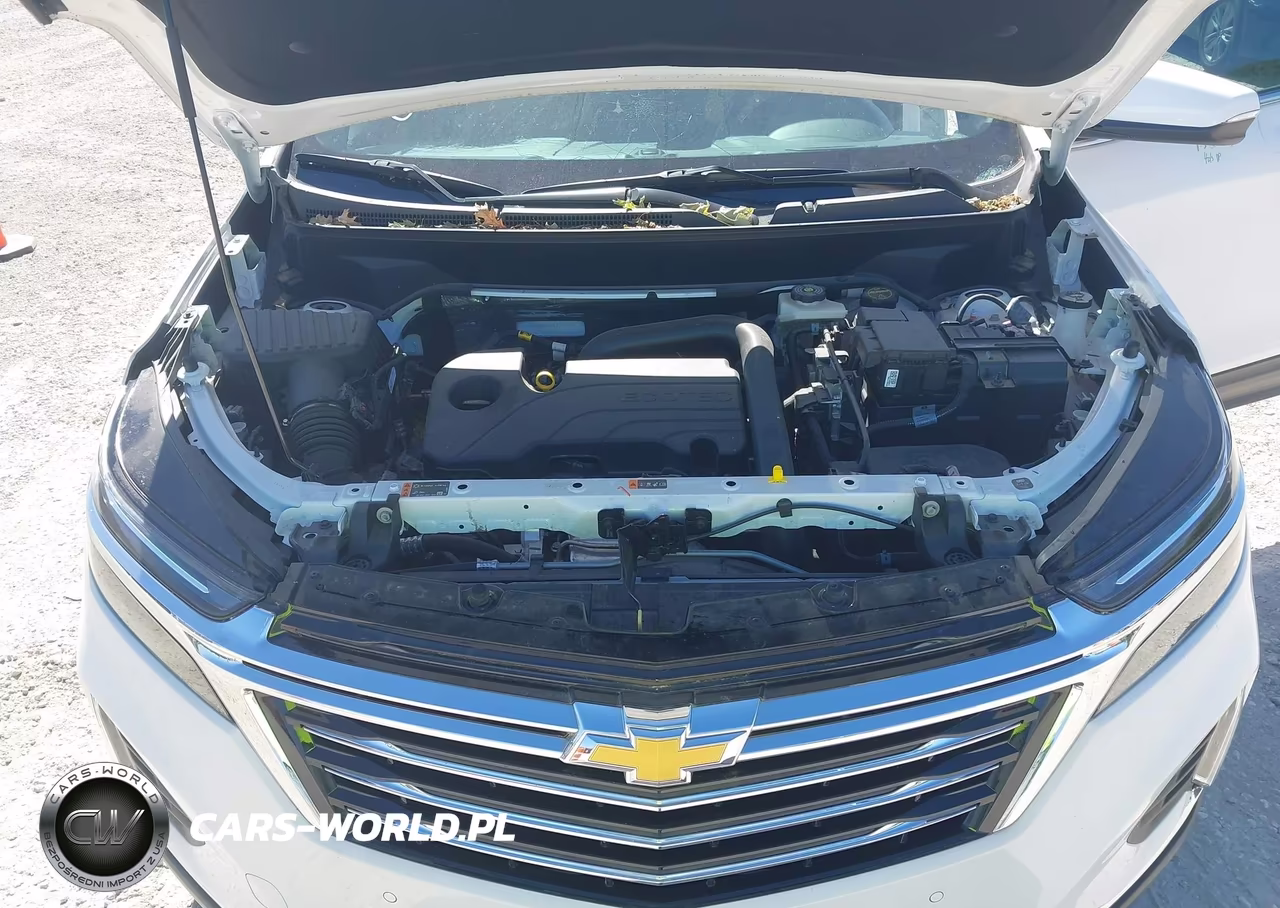 2024 Chevrolet Equinox Fwd Premier VIN:3GNAXNEG3RL315031 - 10