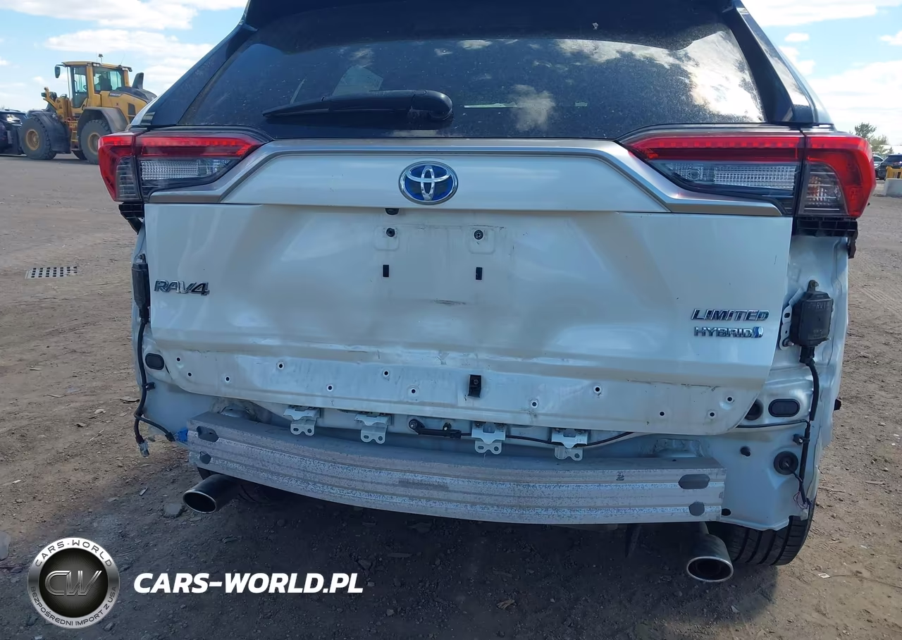 2019 Toyota Rav4 Hybrid Limited VIN:JTMDWRFV7KD027490 - 6