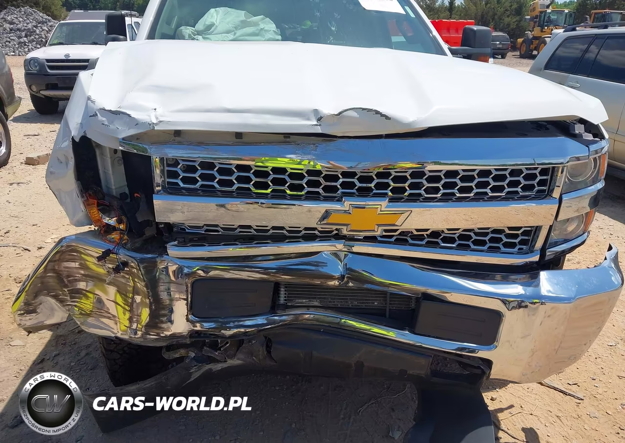 2019 Chevrolet Silverado 2500Hd Wt VIN:2GB2KREG4K1153909 - 17