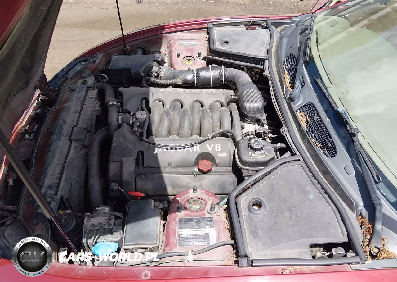 2000 Jaguar Xk8 VIN:SAJJA42C5YNA03186 - 10