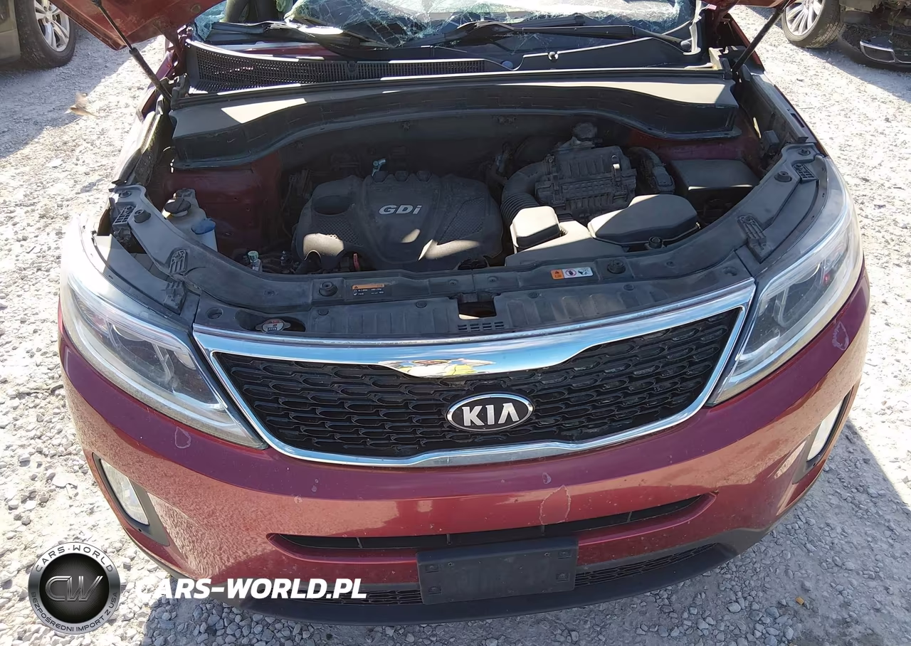 2014 Kia Sorento Lx VIN:5XYKT3A62EG454983 - 10