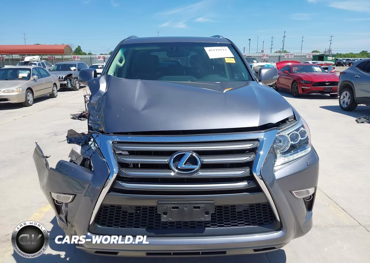 2019 Lexus Gx 460 Premium VIN:JTJBM7FX4K5237359 - 13