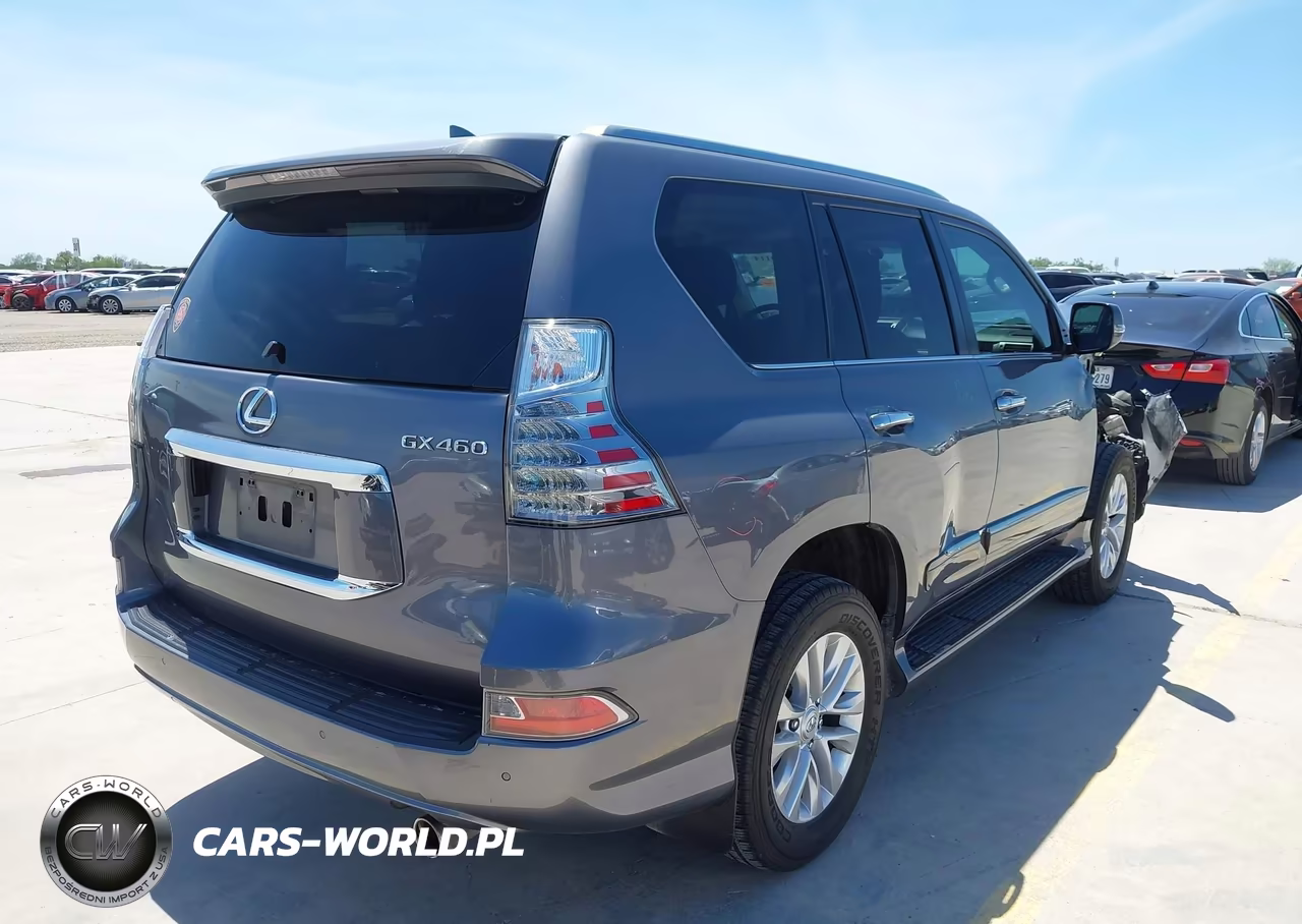 2019 Lexus Gx 460 Premium VIN:JTJBM7FX4K5237359 - 4