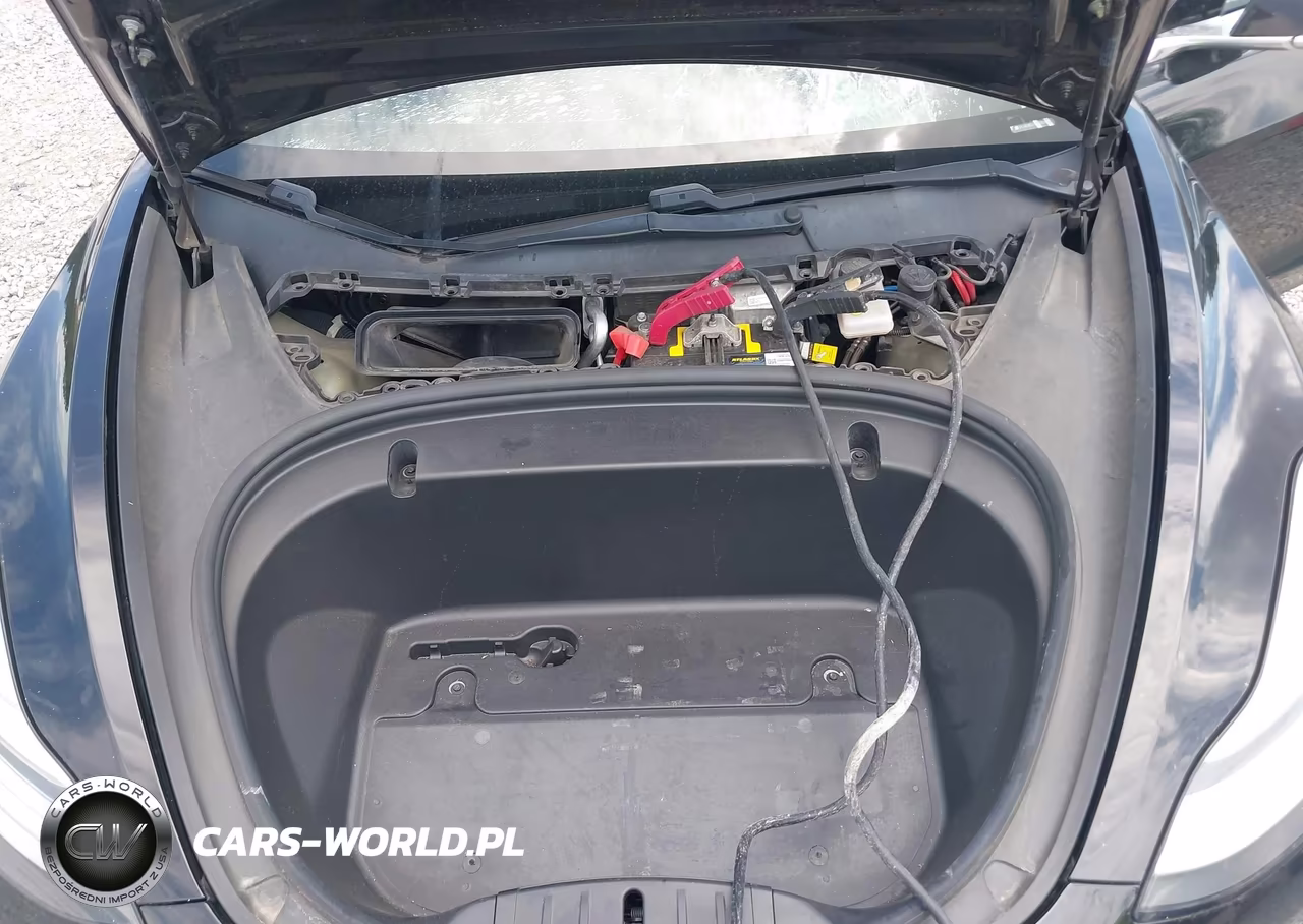 2020 Tesla Model 3 Performance Dual Motor All-Wheel Drive VIN:5YJ3E1ECXLF627026 - 10