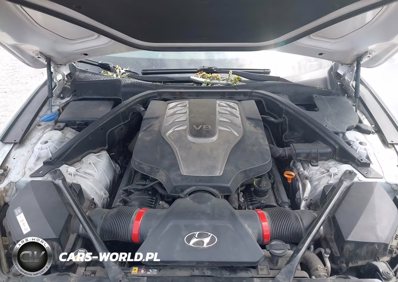 2015 Hyundai Genesis 5.0 VIN:KMHGN4JF7FU064558 - 10