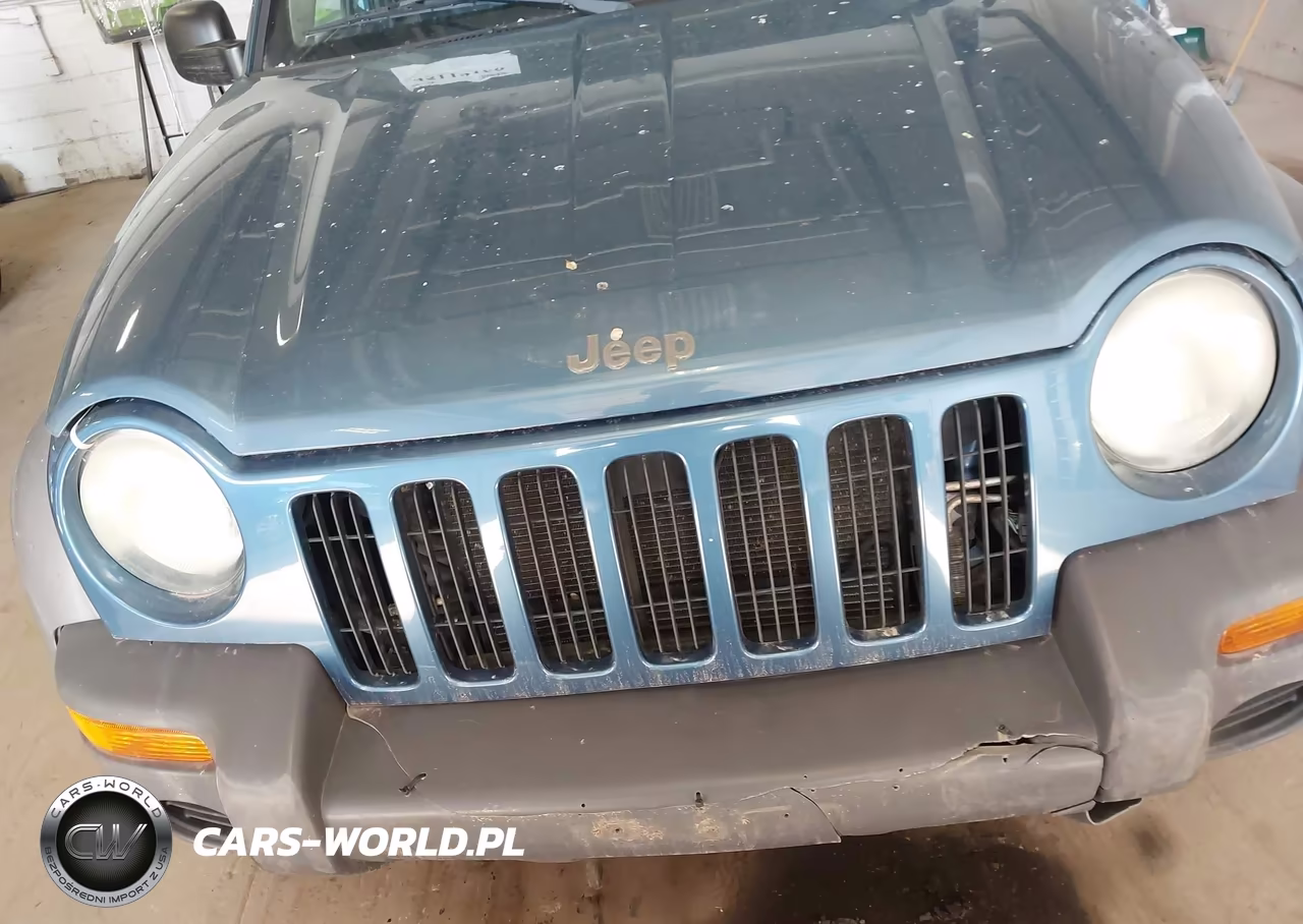 2003 Jeep Liberty Sport VIN:1J4GL48KX3W615878 - 6