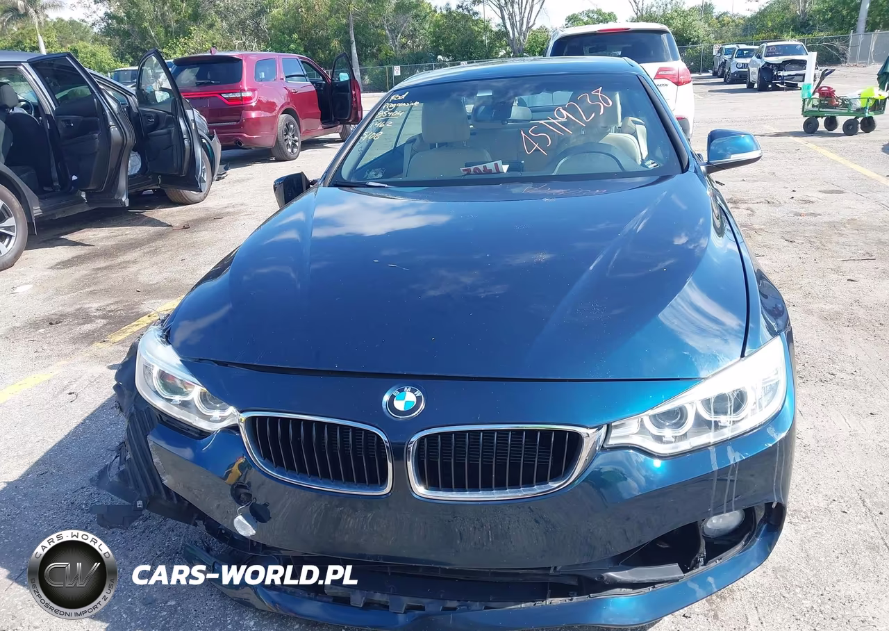 2014 BMW 428I VIN:WBA3V5C53EP751334 - 12