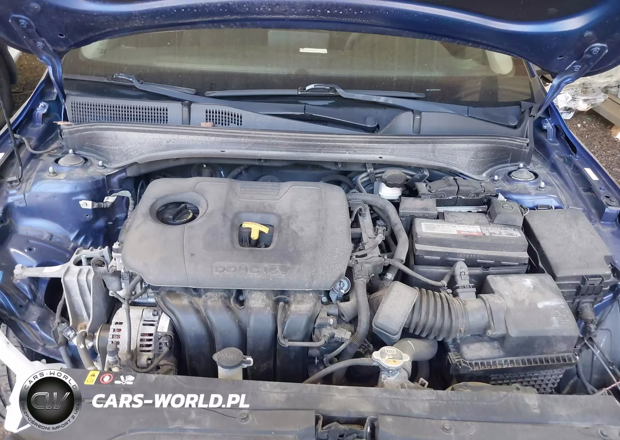 2019 Kia Forte Lxs VIN:3KPF24AD2KE074303 - 10