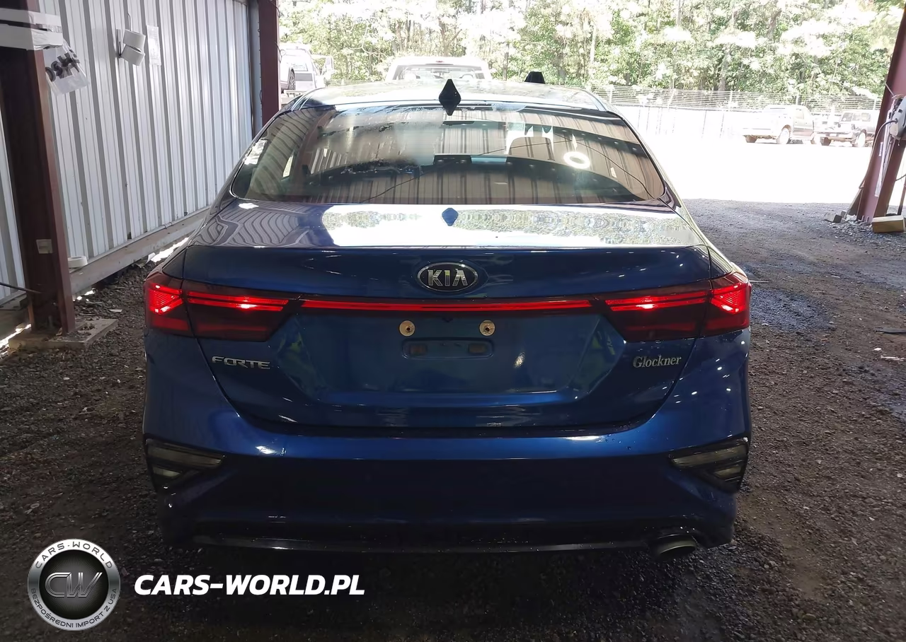 2019 Kia Forte Lxs VIN:3KPF24AD2KE074303 - 17