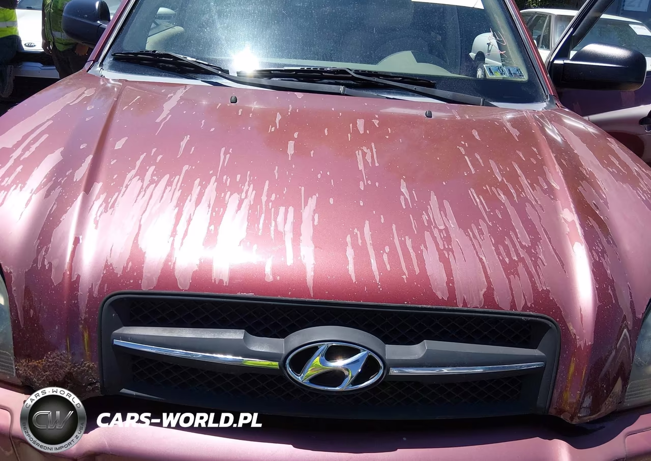 2006 Hyundai Tucson Gl VIN:KM8JM72B46U399069 - 14