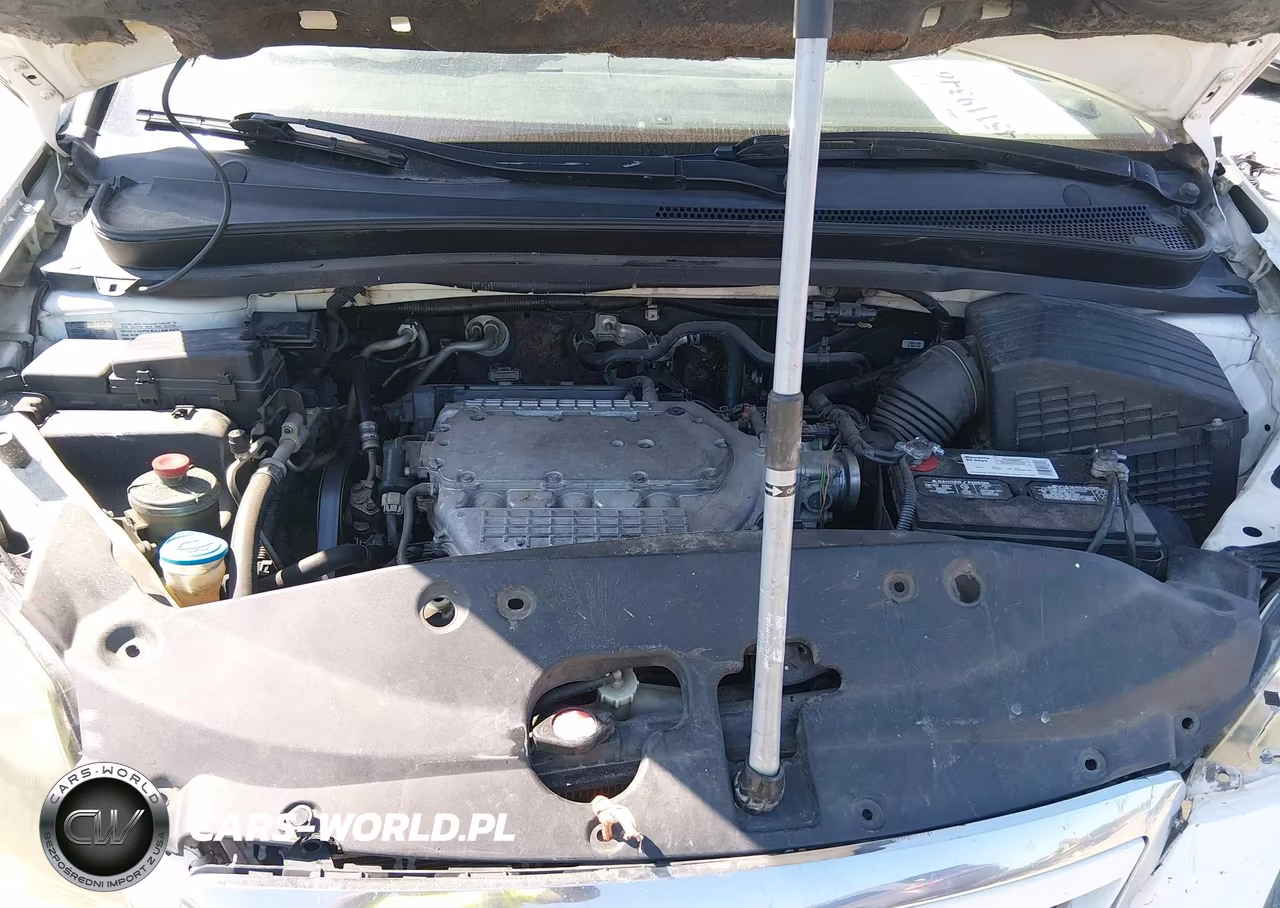 2005 Honda Odyssey Ex-L VIN:5FNRL387X5B102013 - 10