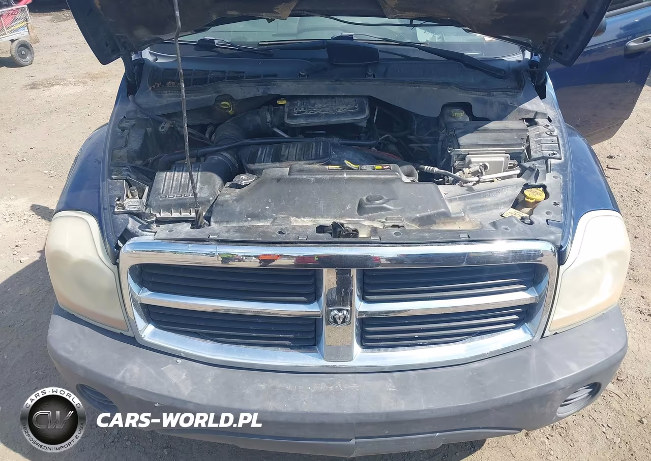 2004 Dodge Durango St VIN:1D4HD38K14F108020 - 10