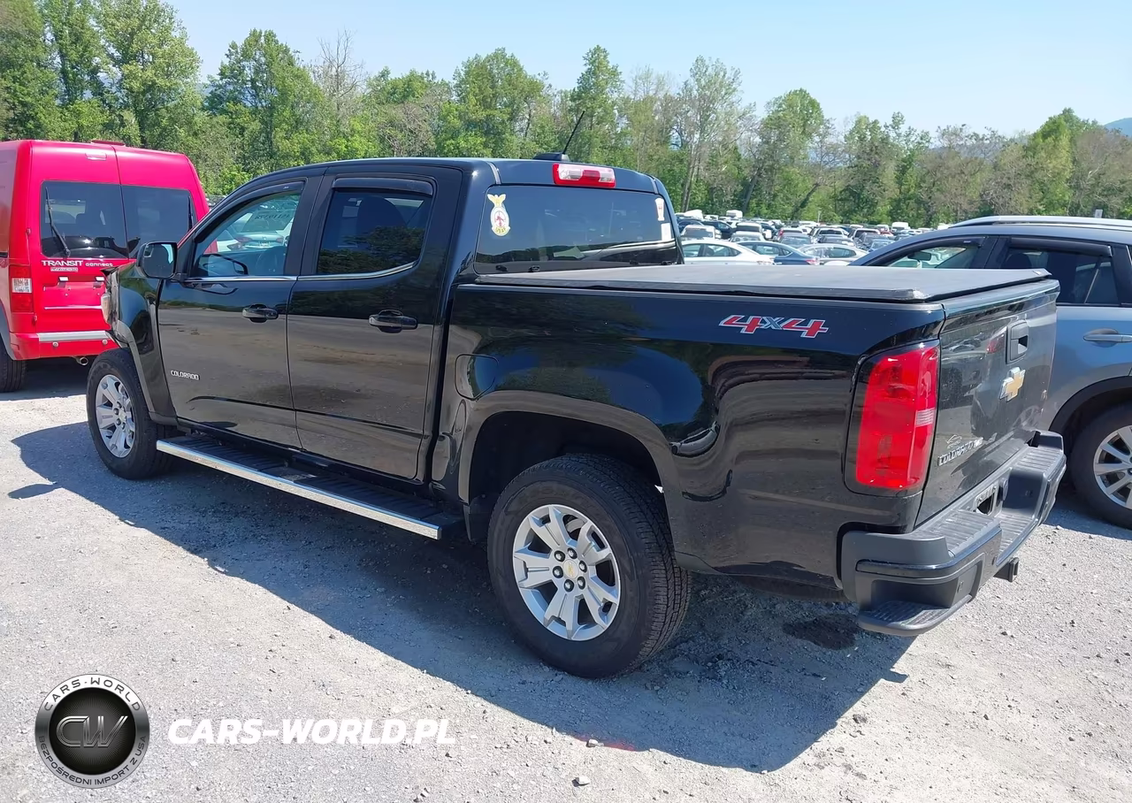 2019 Chevrolet Colorado Lt VIN:1GCGTCEN2K1208230 - 3