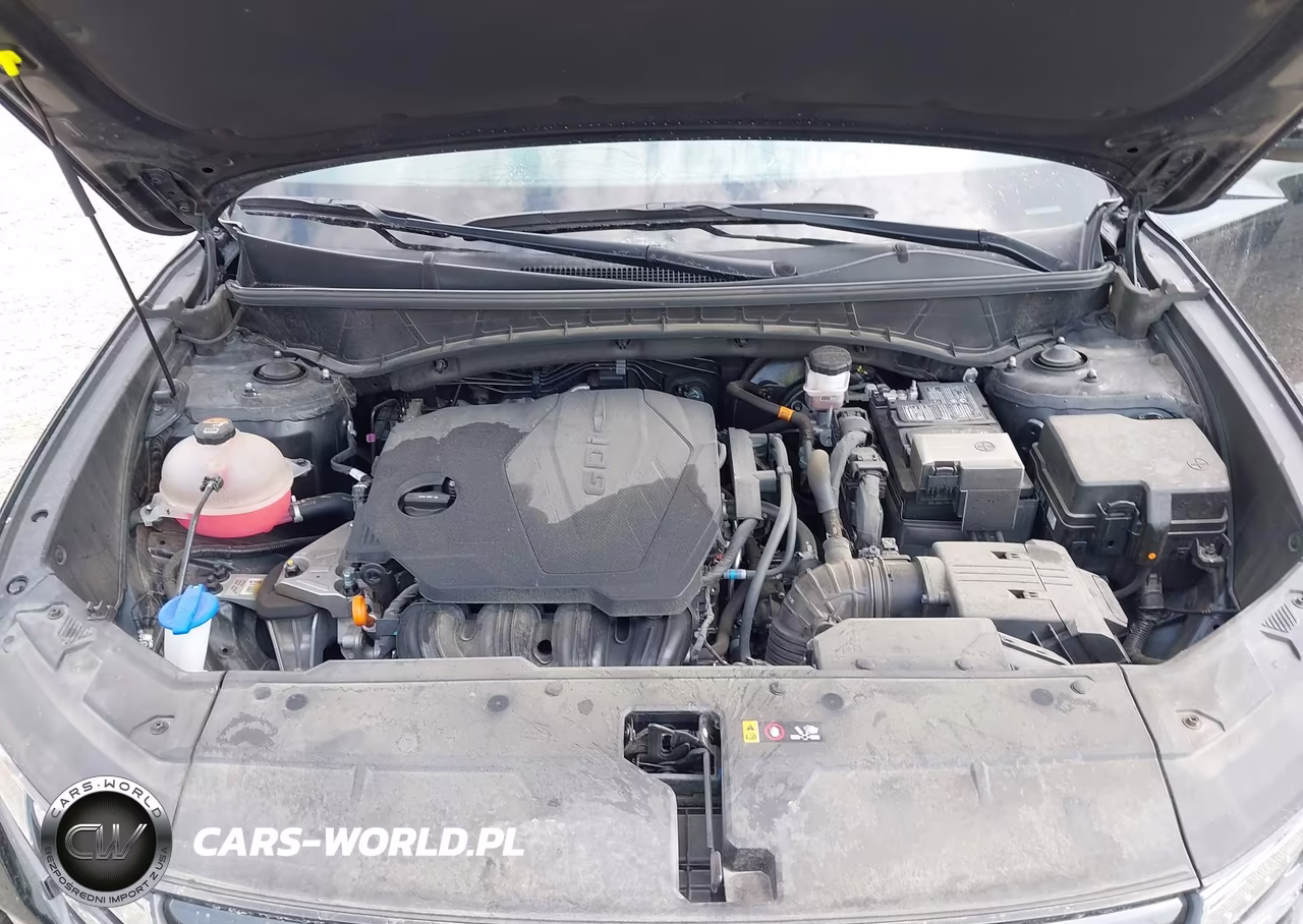 2024 Hyundai Tucson Sel VIN:5NMJF3DE4RH390432 - 10