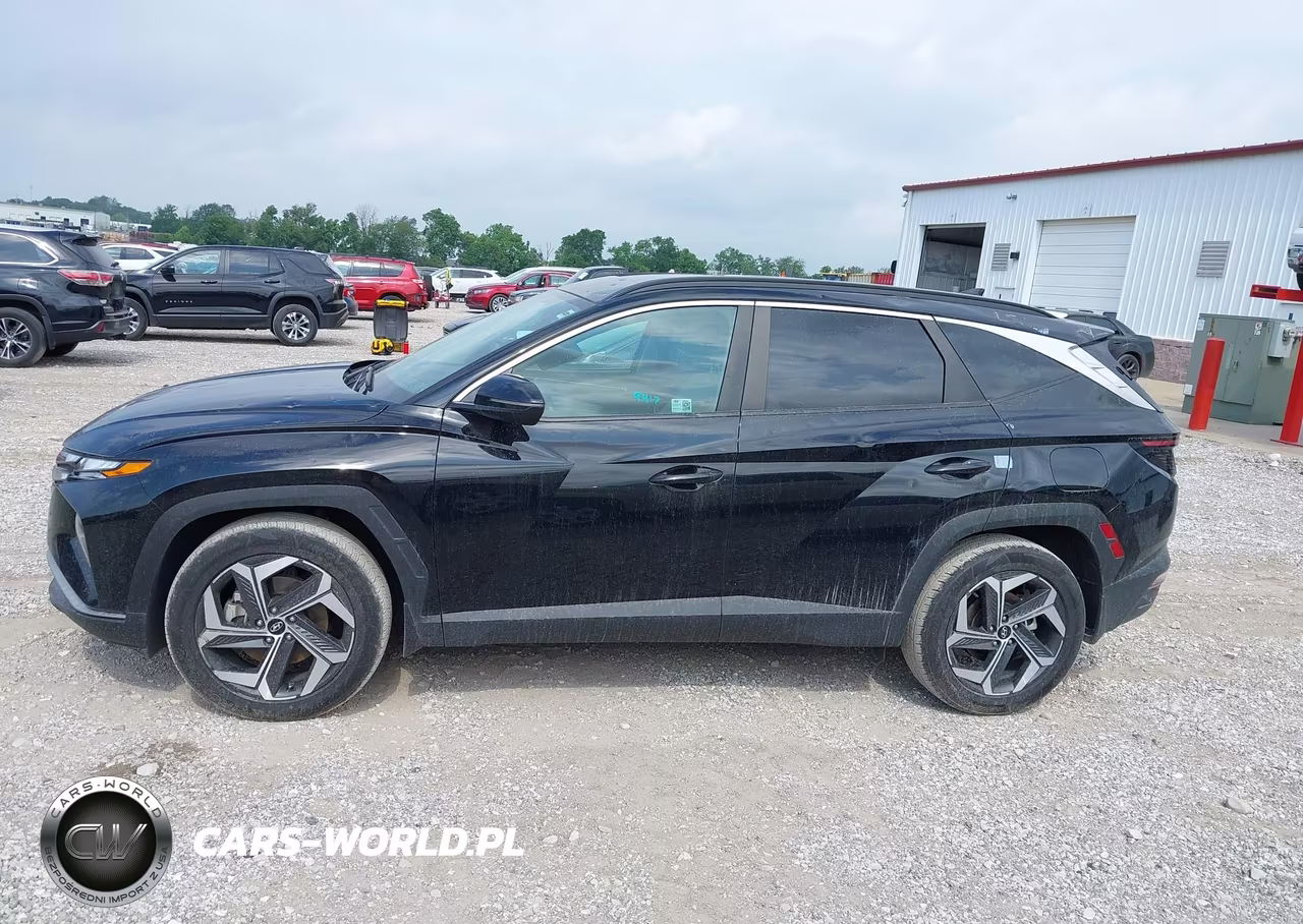 2024 Hyundai Tucson Sel VIN:5NMJF3DE4RH390432 - 14