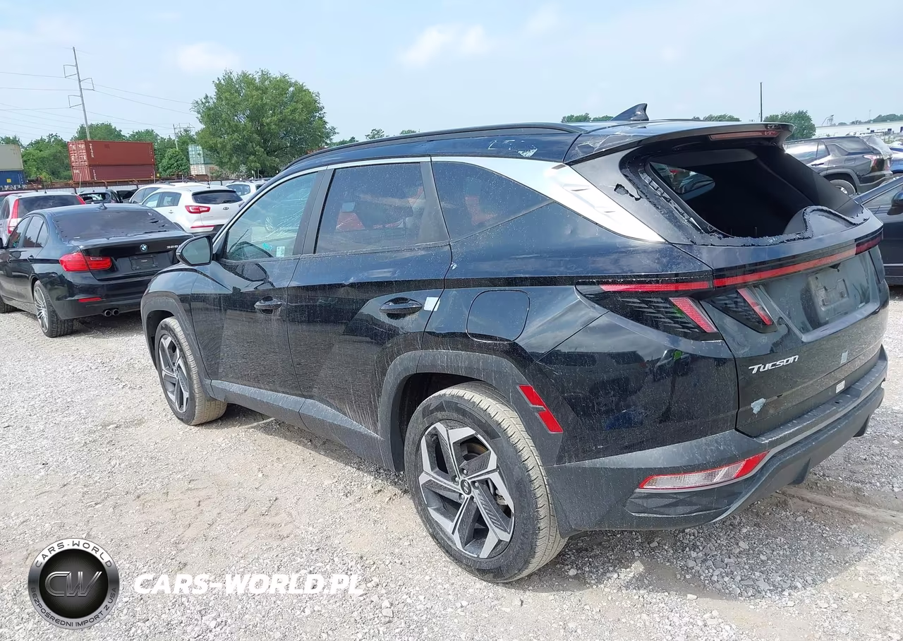 2024 Hyundai Tucson Sel VIN:5NMJF3DE4RH390432 - 3