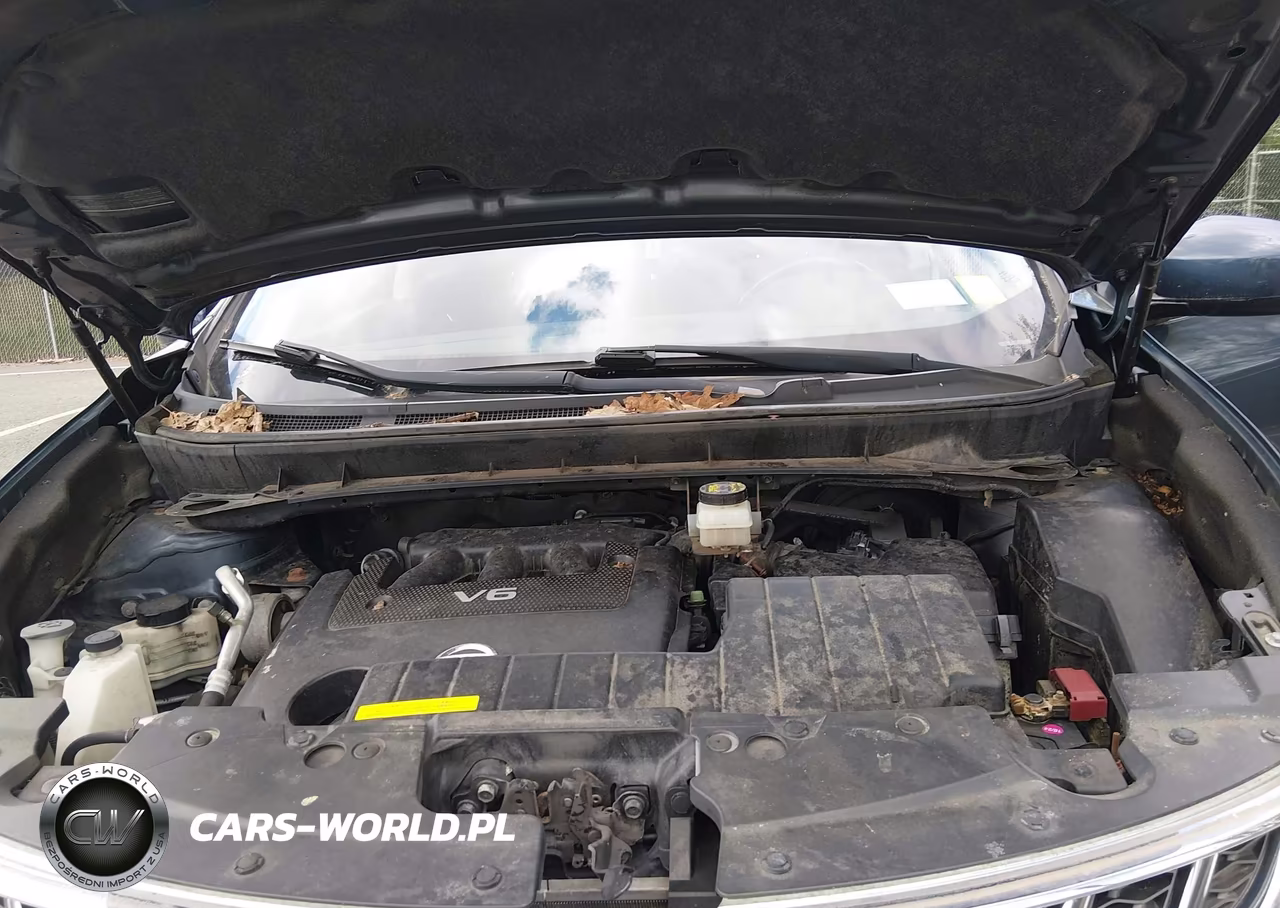 2013 Nissan Murano Sv VIN:JN8AZ1MW3DW319897 - 10