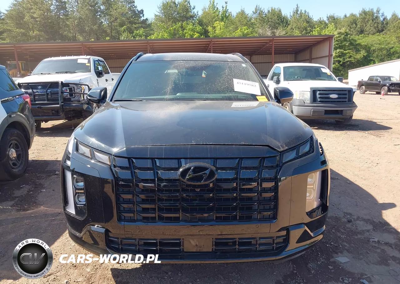 2025 Hyundai Palisade Calligraphy Night Edition VIN:KM8R7DGE1SU821529 - 13