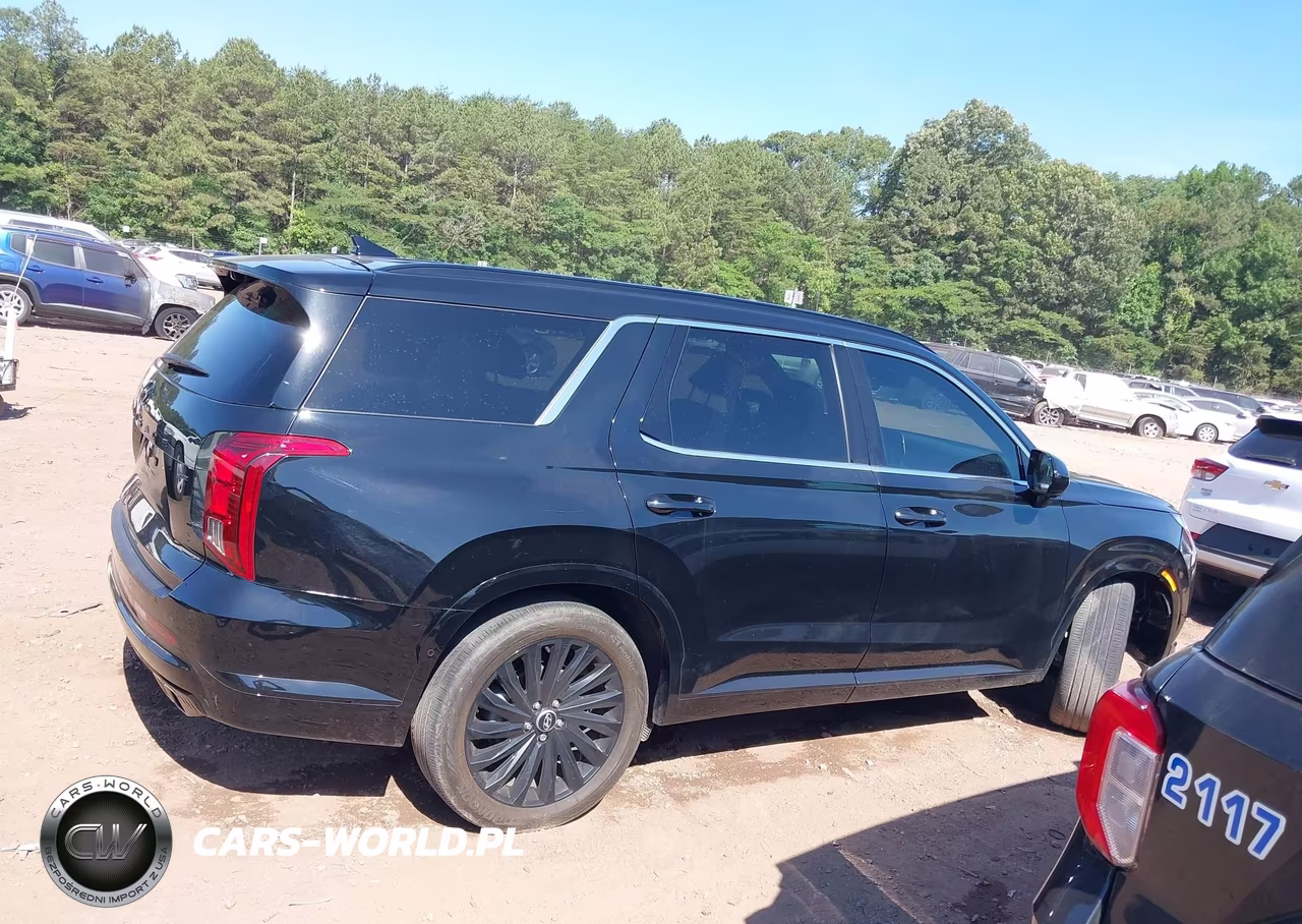 2025 Hyundai Palisade Calligraphy Night Edition VIN:KM8R7DGE1SU821529 - 14