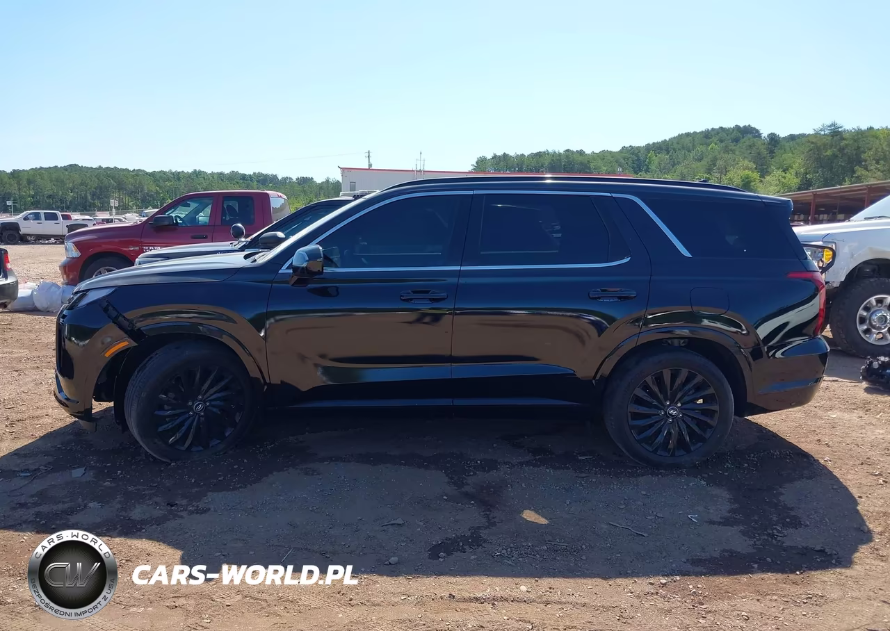 2025 Hyundai Palisade Calligraphy Night Edition VIN:KM8R7DGE1SU821529 - 15