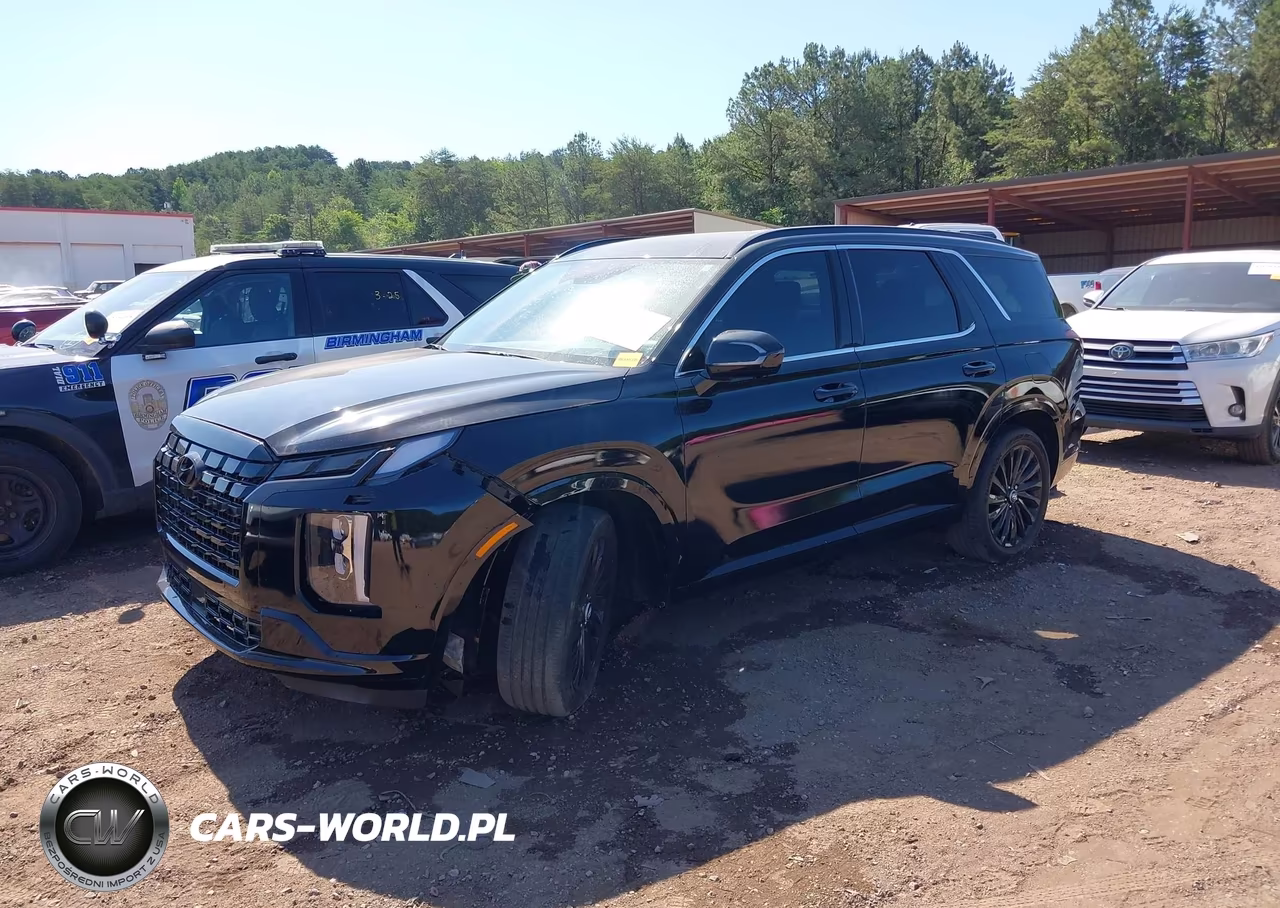 2025 Hyundai Palisade Calligraphy Night Edition VIN:KM8R7DGE1SU821529 - 2