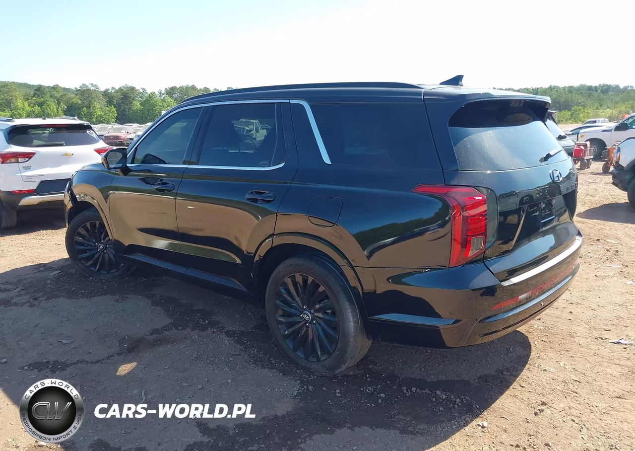 2025 Hyundai Palisade Calligraphy Night Edition VIN:KM8R7DGE1SU821529 - 3