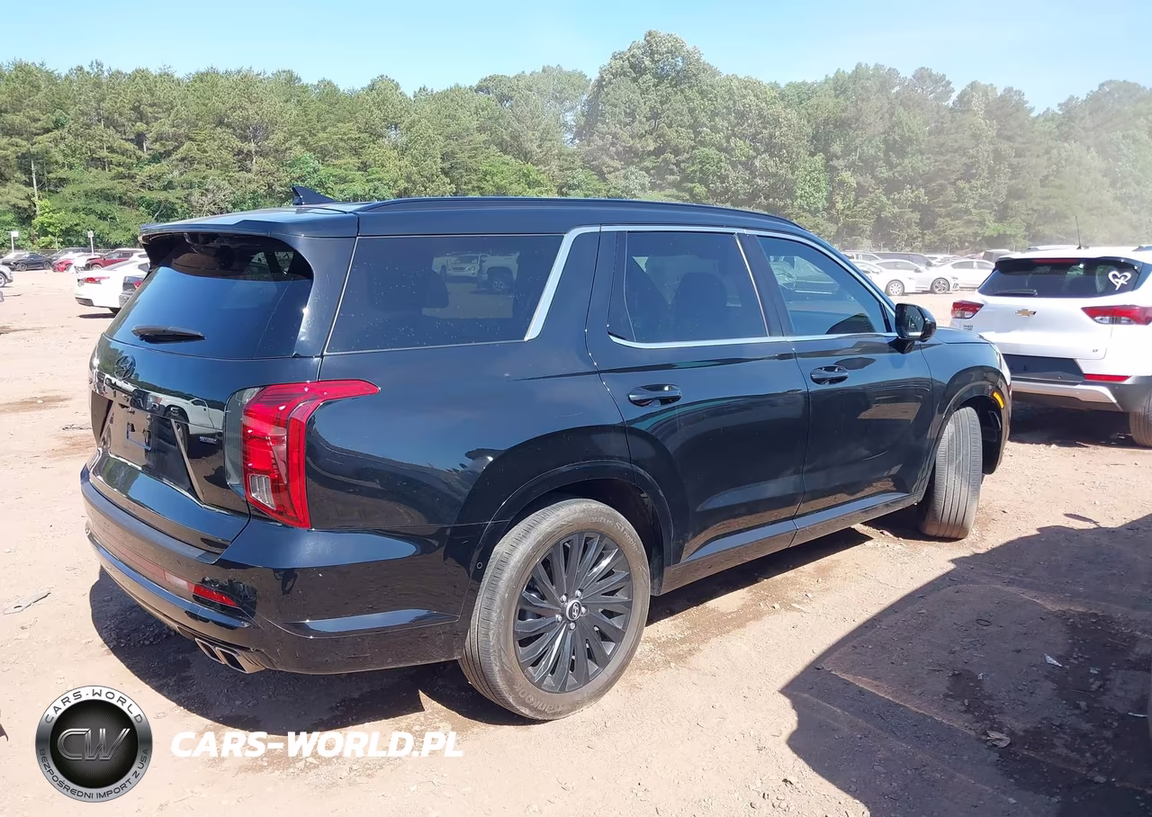 2025 Hyundai Palisade Calligraphy Night Edition VIN:KM8R7DGE1SU821529 - 4