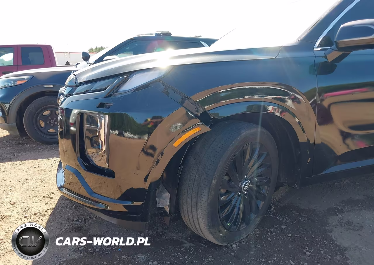 2025 Hyundai Palisade Calligraphy Night Edition VIN:KM8R7DGE1SU821529 - 6