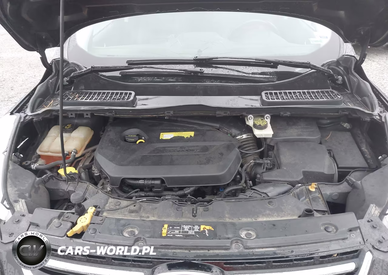 2013 Ford Escape Sel VIN:1FMCU9HX0DUC87440 - 10