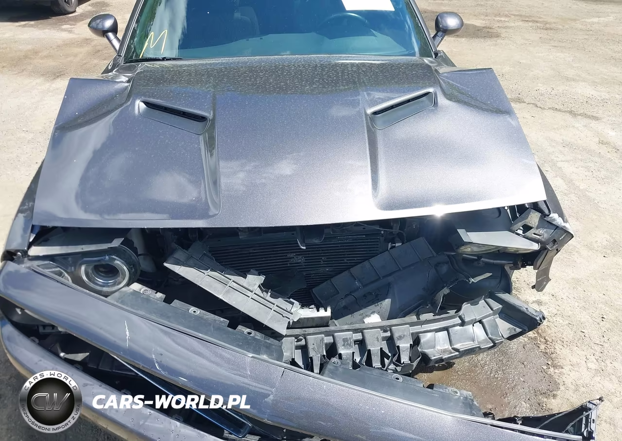 2015 Dodge Challenger Sxt VIN:2C3CDZAG0FH823473 - 10