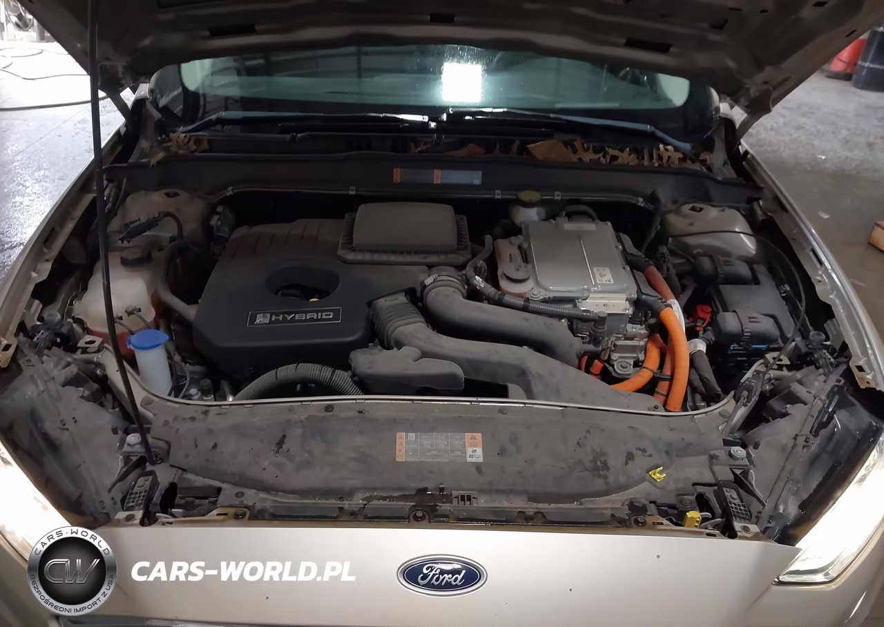 2019 Ford Fusion Hybrid Se VIN:3FA6P0LUXKR258670 - 10