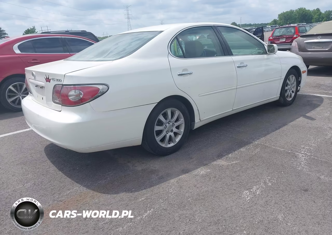 2003 Lexus Es 300 VIN:JTHBF30G336004257 - 4