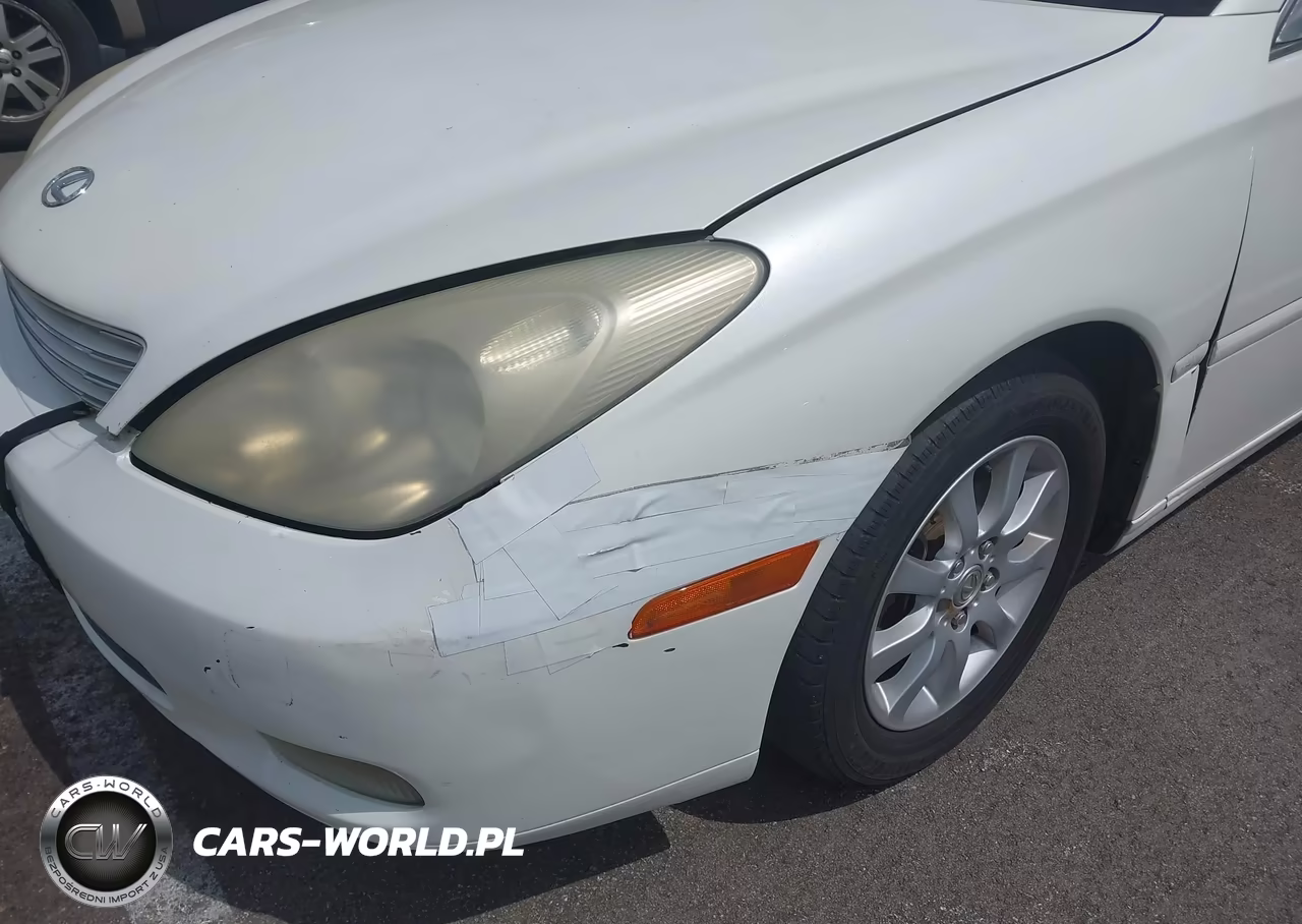 2003 Lexus Es 300 VIN:JTHBF30G336004257 - 6