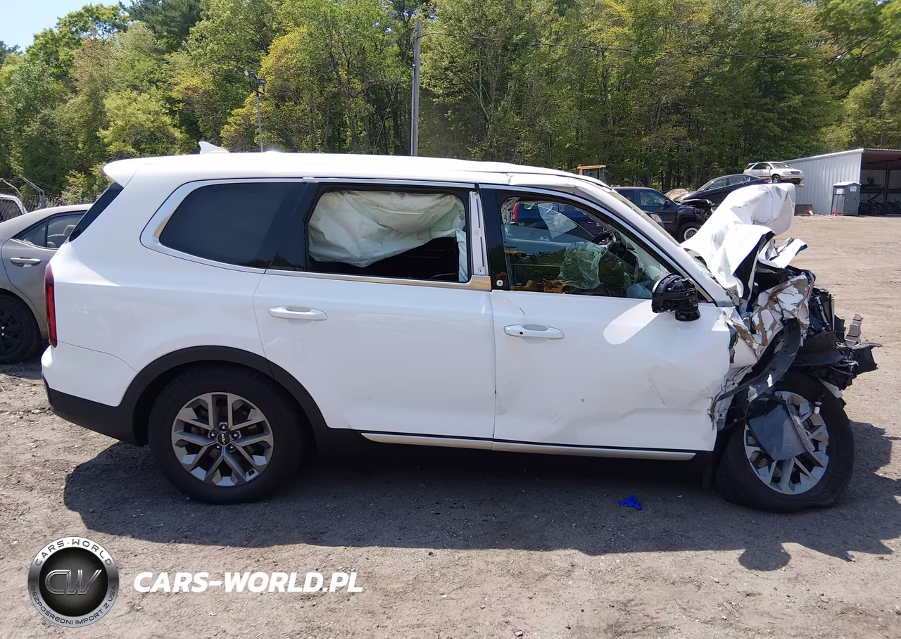 2023 Kia Telluride Lx VIN:5XYP2DGC1PG366781 - 13