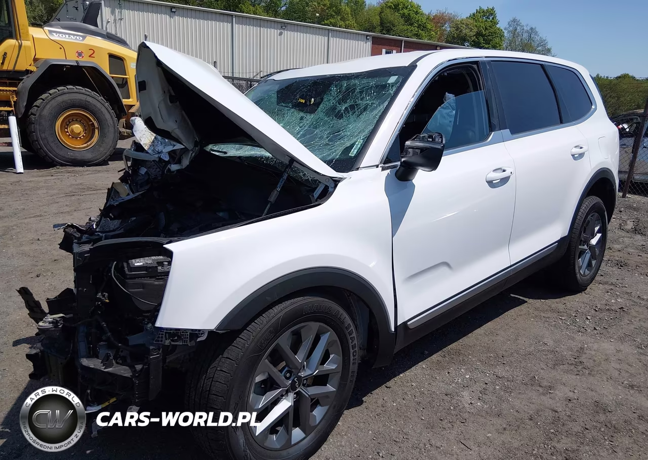 2023 Kia Telluride Lx VIN:5XYP2DGC1PG366781 - 2