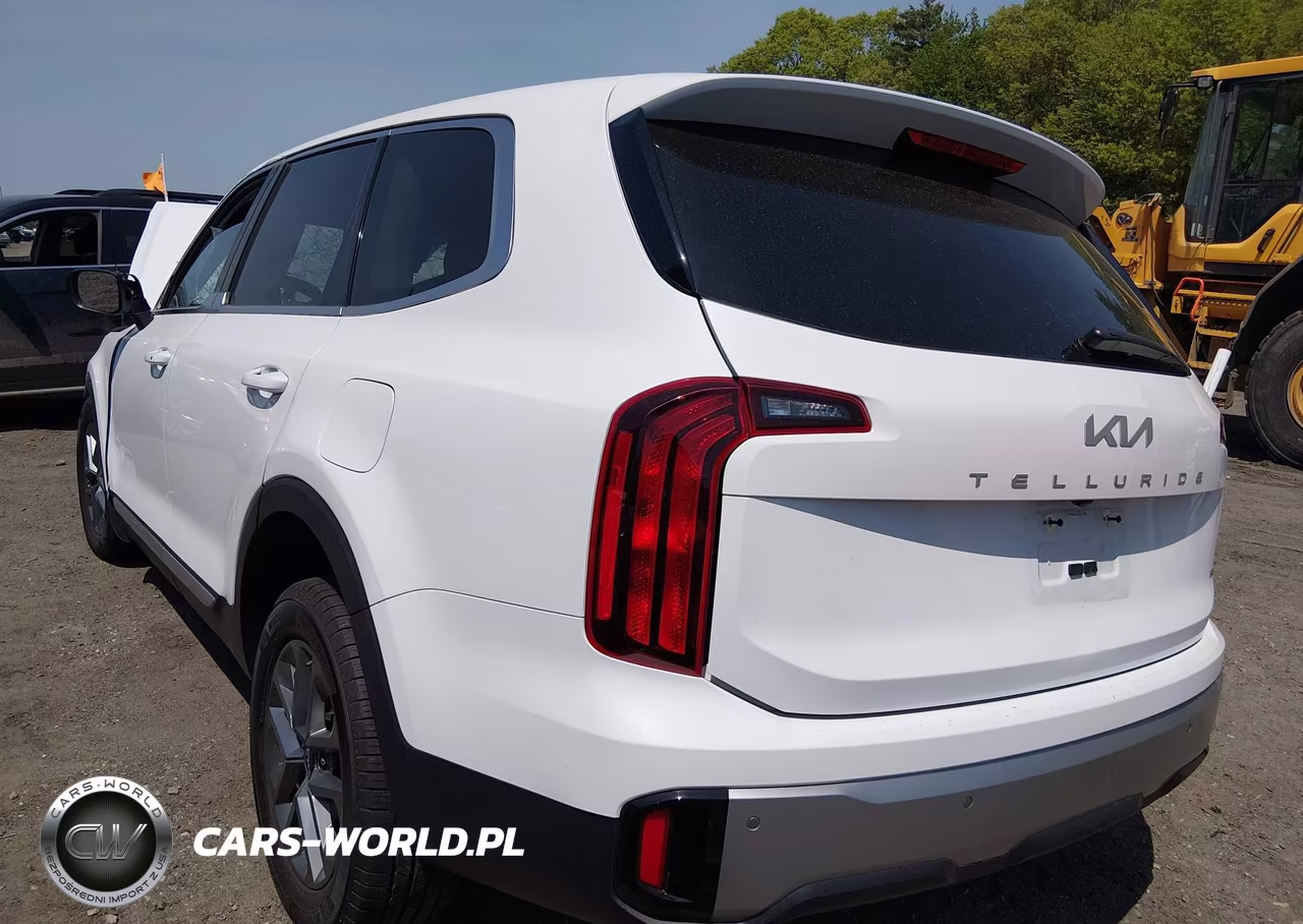 2023 Kia Telluride Lx VIN:5XYP2DGC1PG366781 - 3