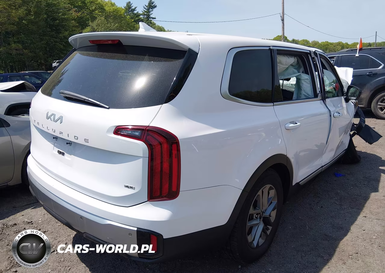2023 Kia Telluride Lx VIN:5XYP2DGC1PG366781 - 4