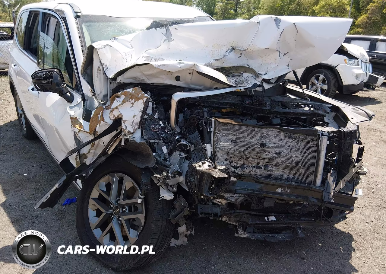 2023 Kia Telluride Lx VIN:5XYP2DGC1PG366781 - 6