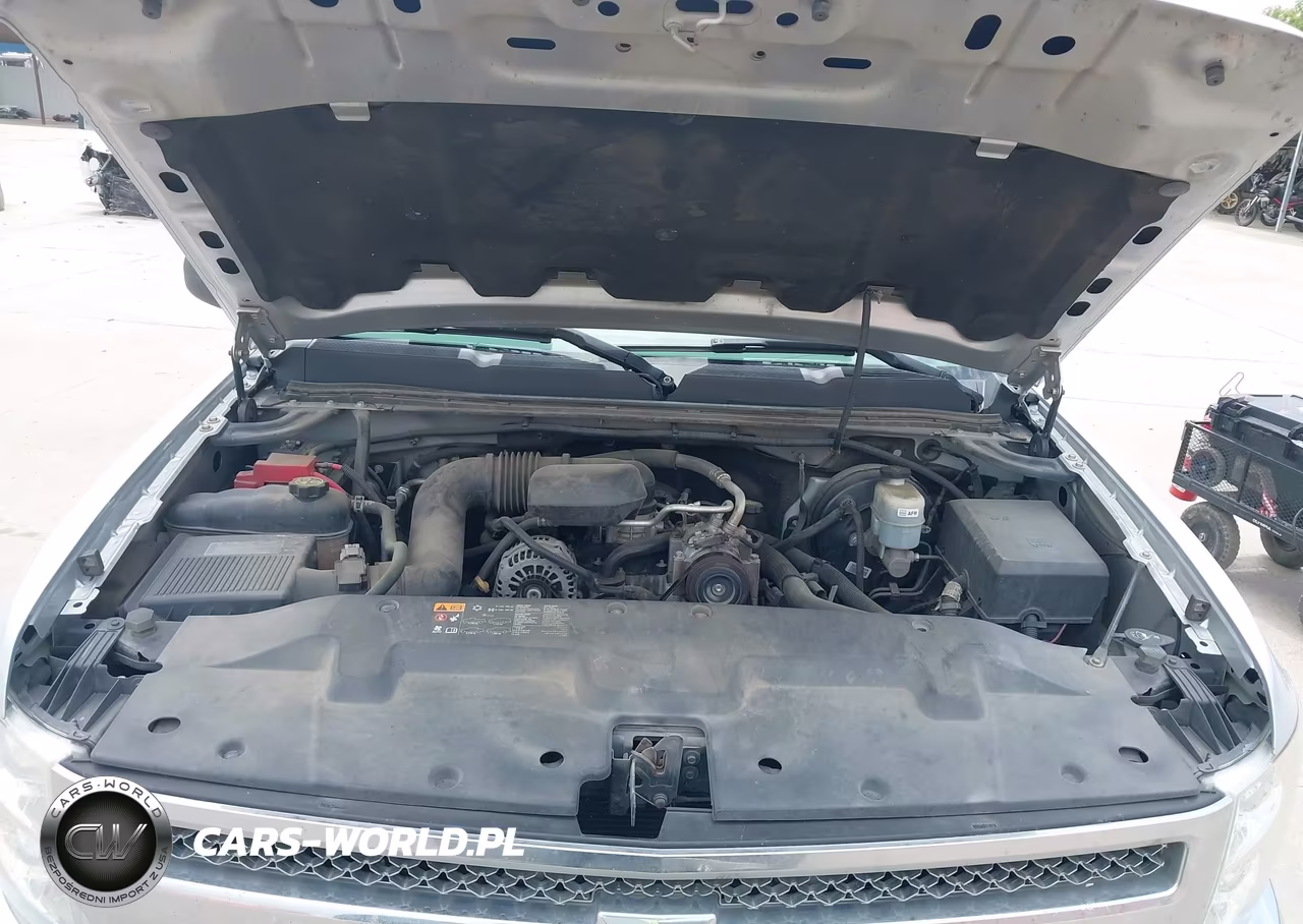 2013 Chevrolet Silverado 1500 Work Truck VIN:1GCNCPEX5DZ150179 - 10