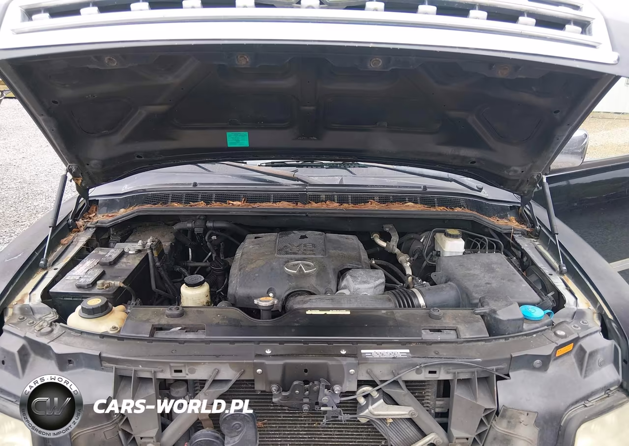 2009 Infiniti Qx56 VIN:5N3AA08D39N902900 - 10