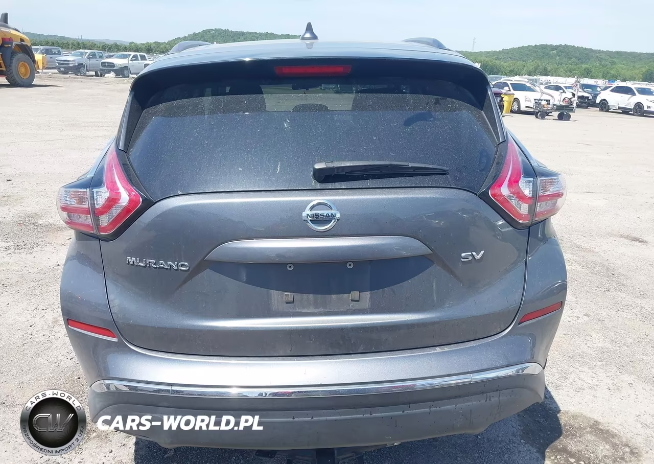 2017 Nissan Murano Sv VIN:5N1AZ2MG3HN141703 - 16