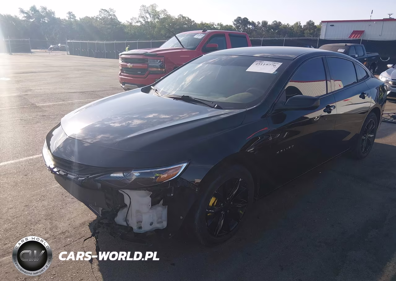 2019 Chevrolet Malibu Lt VIN:1G1ZD5ST4KF174386 - 2