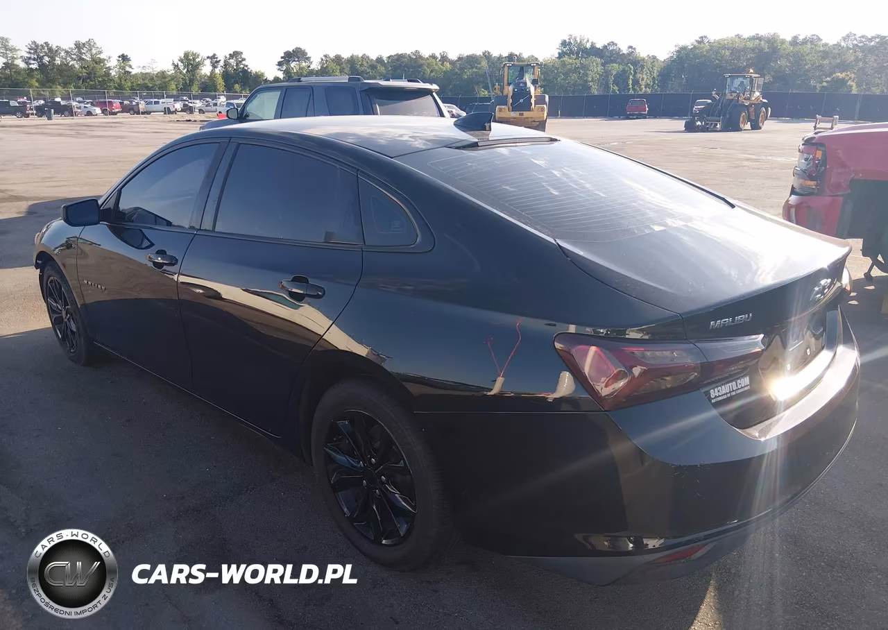 2019 Chevrolet Malibu Lt VIN:1G1ZD5ST4KF174386 - 3