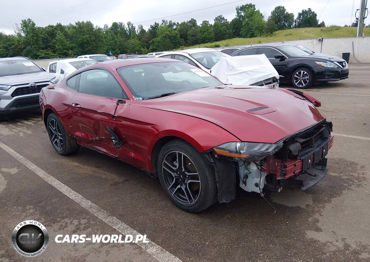 2019 Ford Mustang Ecoboost
