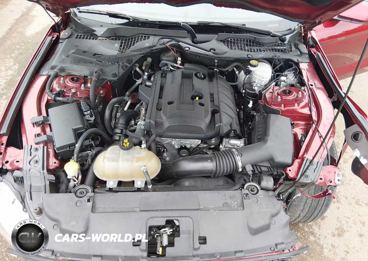 2019 Ford Mustang Ecoboost VIN:1FA6P8TH1K5177948 - 10