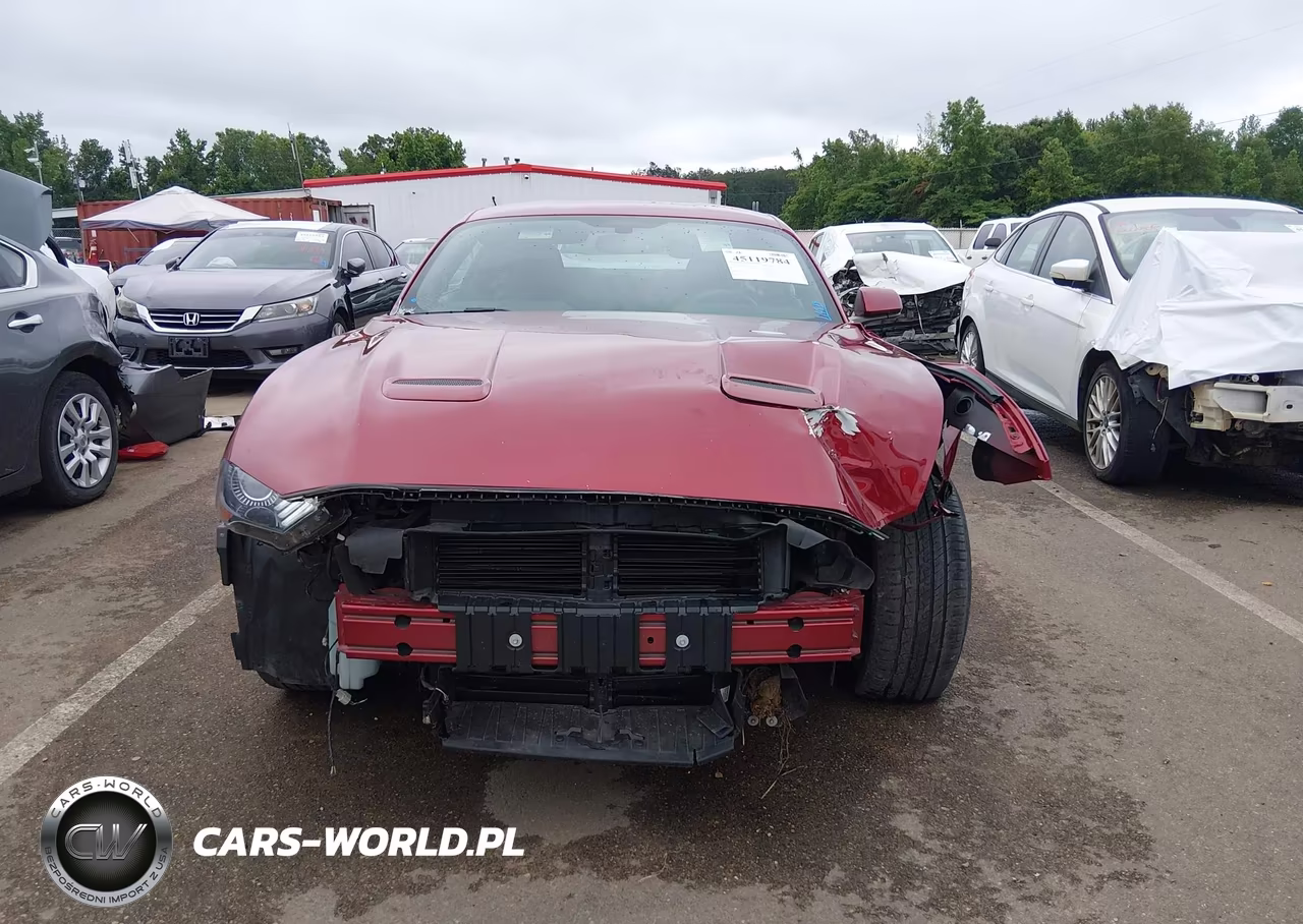 2019 Ford Mustang Ecoboost VIN:1FA6P8TH1K5177948 - 13