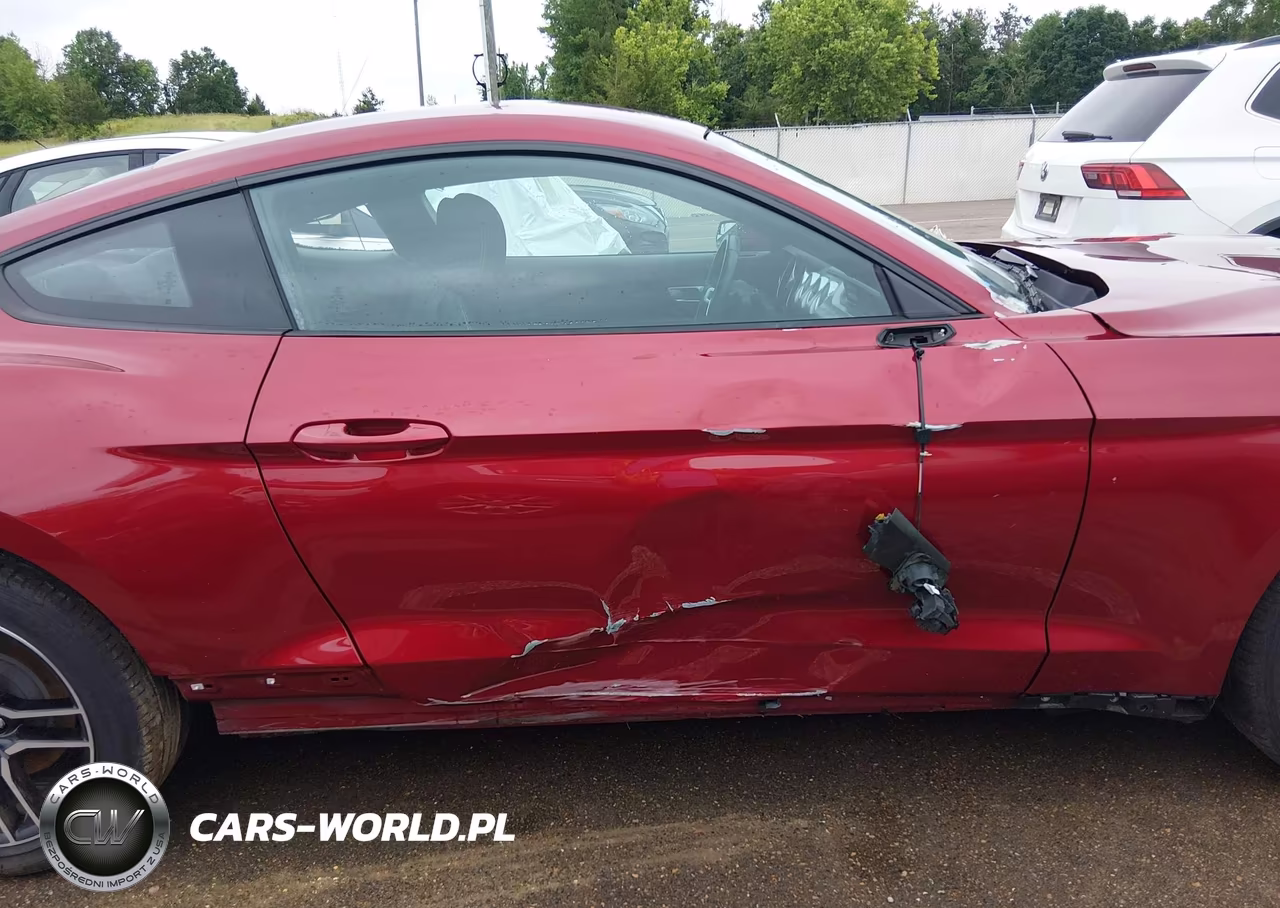 2019 Ford Mustang Ecoboost VIN:1FA6P8TH1K5177948 - 14