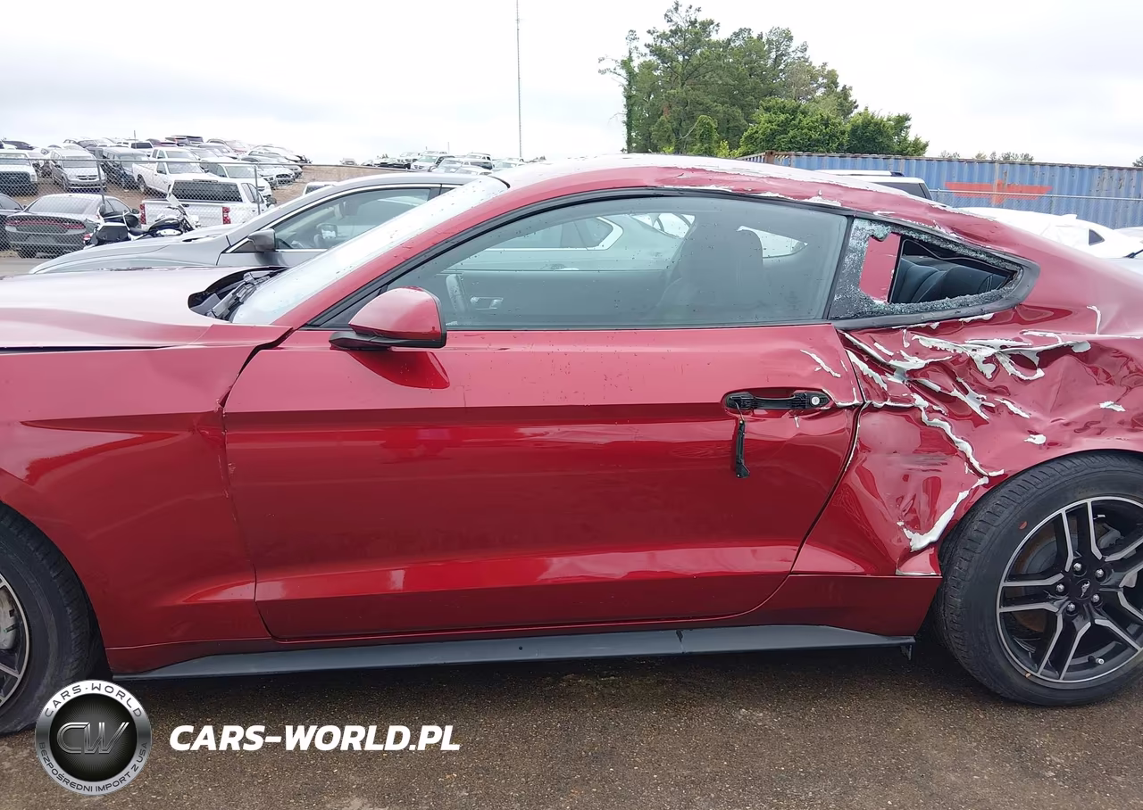 2019 Ford Mustang Ecoboost VIN:1FA6P8TH1K5177948 - 15