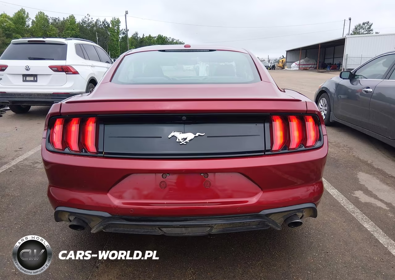 2019 Ford Mustang Ecoboost VIN:1FA6P8TH1K5177948 - 17