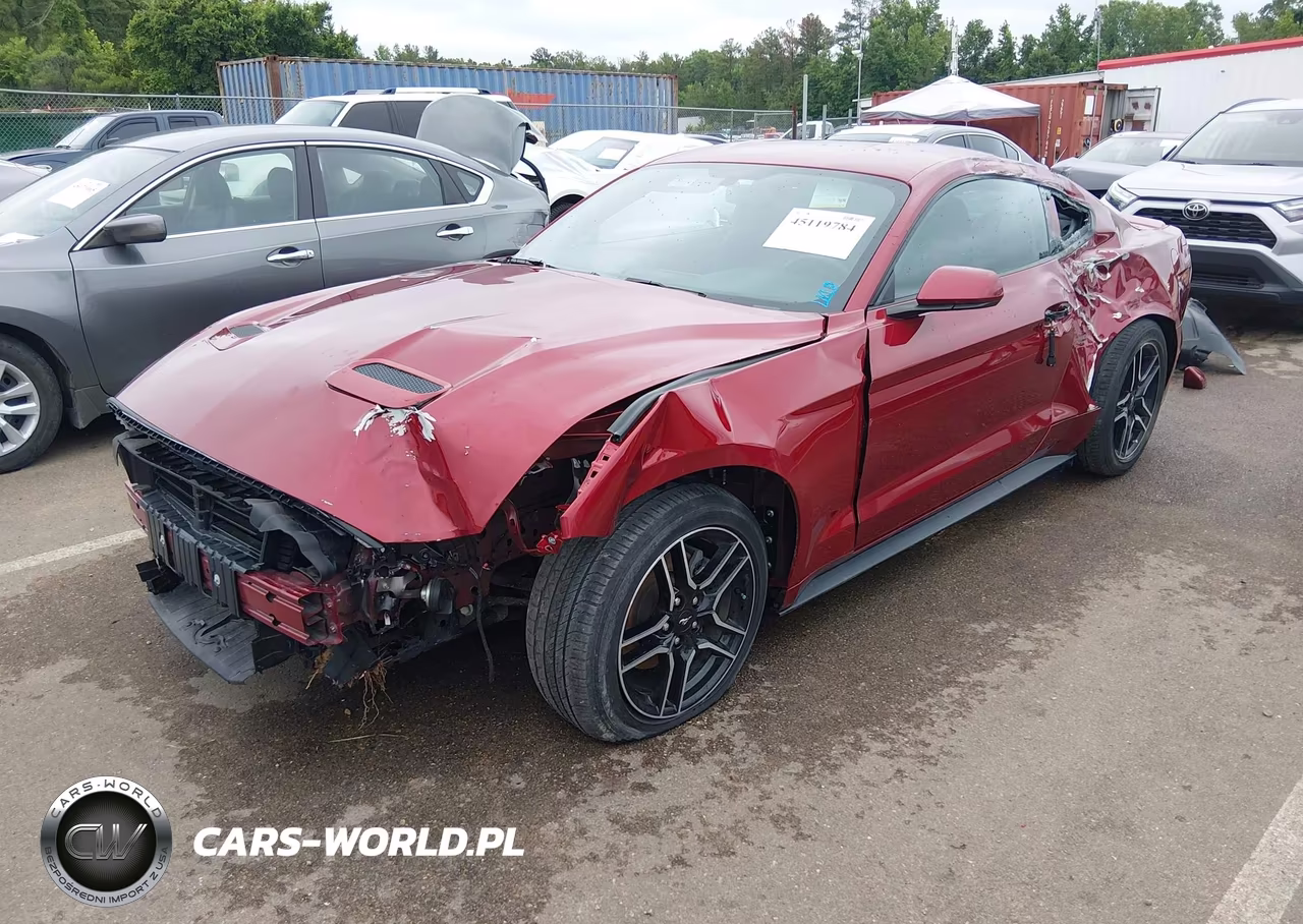 2019 Ford Mustang Ecoboost VIN:1FA6P8TH1K5177948 - 2